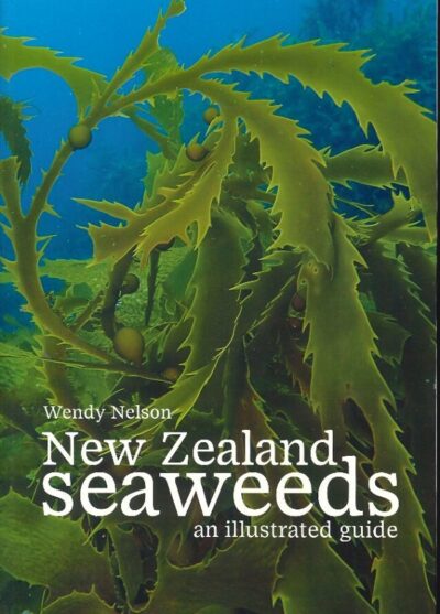 NEW ZEALAND'S SEAWEEDS