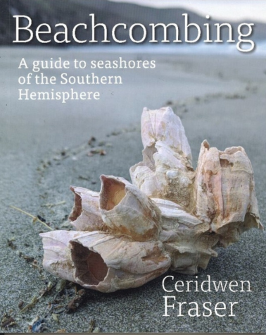 BEACHCOMBING