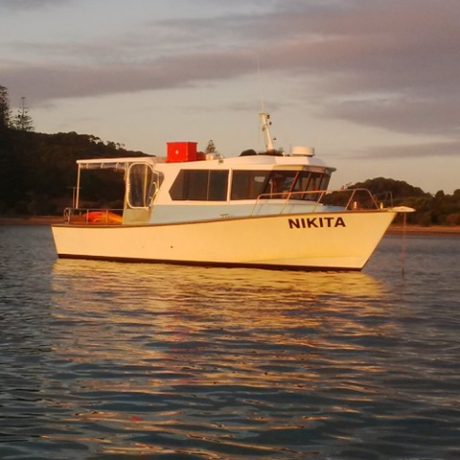 Nikita