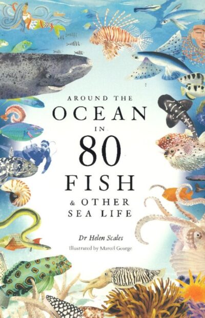 AROUND THE OCEAN IN 80 FISH & OTHER SEALIFE