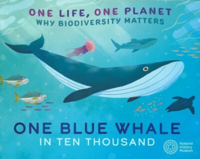 ONE BLUE WHALE IN TEN THOUSAND