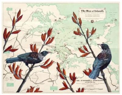 BAY OF ISLANDS TUI PRINT