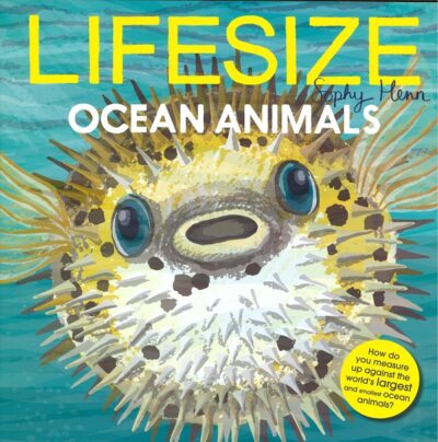 LIFESIZE OCEAN ANIMALS