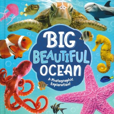 BIG BEAUTIFUL OCEAN